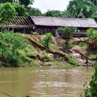 Amazon Tributary, Brazil